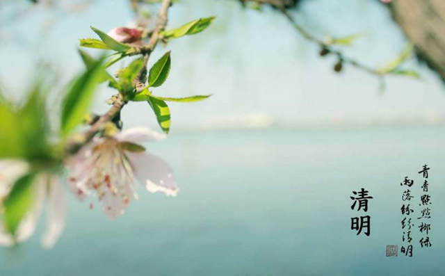 清明節(jié)日 清明節(jié)日