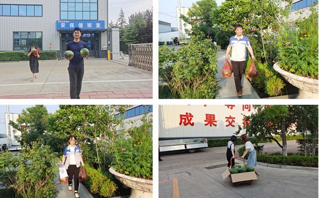 職工手捧西瓜，個(gè)個(gè)臉上都洋溢著燦爛的微笑